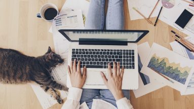 Stock image of a person sitting on the floor typing on a computer with papers on the floor to the right and a grey cat laying down on the left